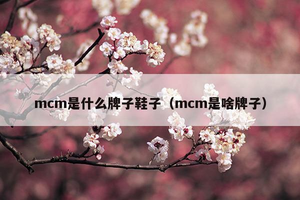 mcm是什么牌子价位