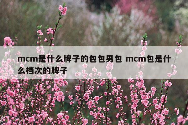 mcm薯条包和mcm水桶包哪个好看