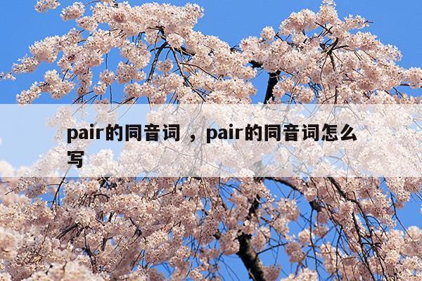 pair的同音词pair的同音词怎么写