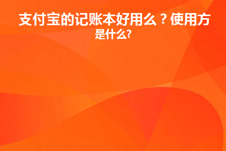 支付宝的记账本好用么(支付宝记账本转账是什么)