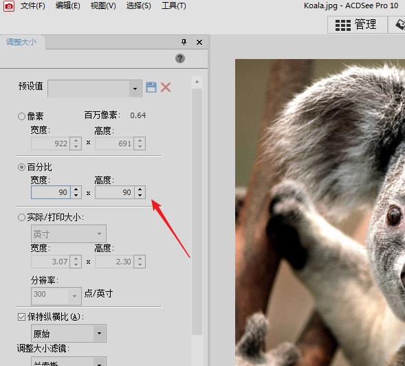 acdsee怎么调整图片尺寸(acdsee怎么编辑图片分辨率)