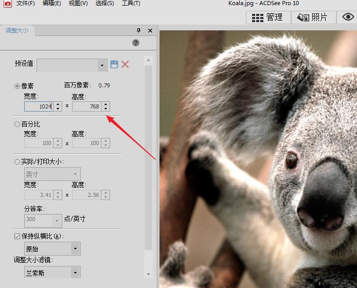 acdsee怎么调整图片尺寸(acdsee怎么编辑图片分辨率)