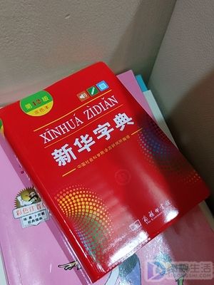 八字旁要20个字有哪些成语