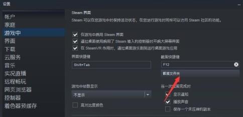 steamf12截图保存在哪里详情介绍