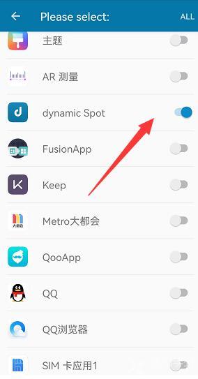 dynamicspot设置方法介绍